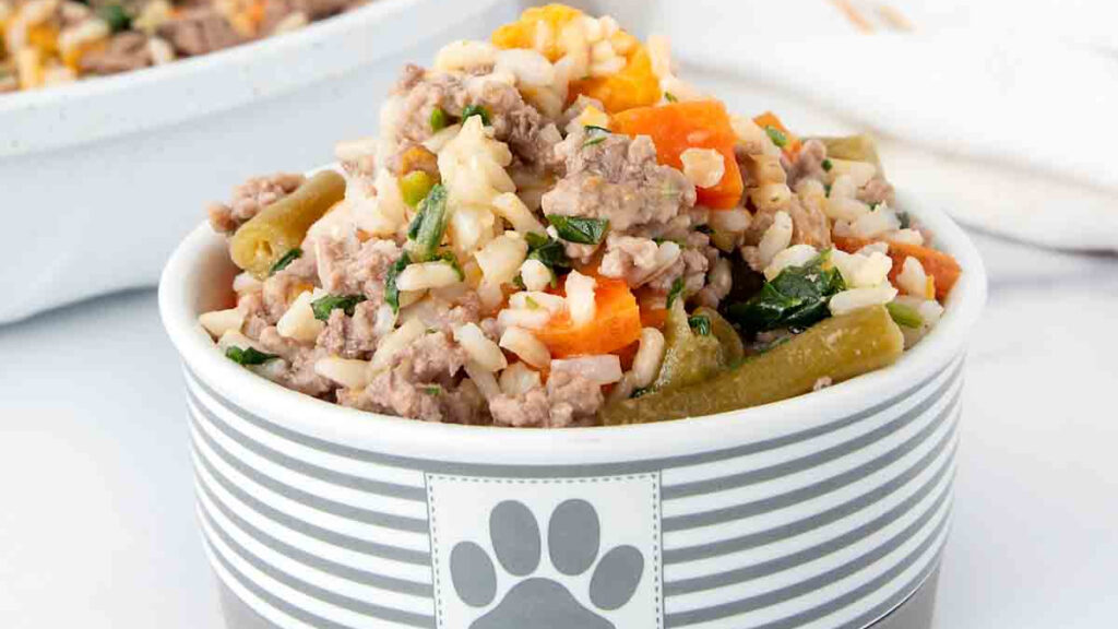 Happy South Asian couple cuddling their Pug dog on a sofa, representing the rising trend of pet humanization India and the shift towards pets as family members.